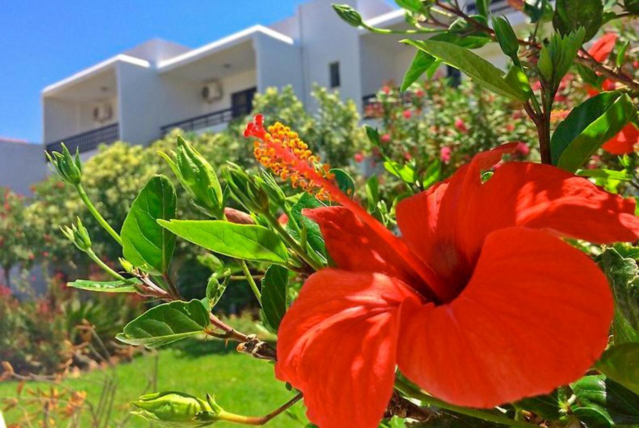 Debbi Appartments And Hotel Ιαλυσός Ρόδος Εξωτερικό φωτογραφία